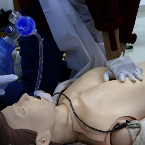 Basic-Life-Support-.png